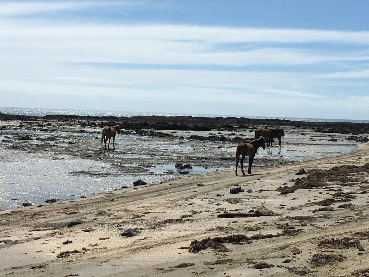 90 Mile Paradise Ahipara Dış mekan fotoğraf